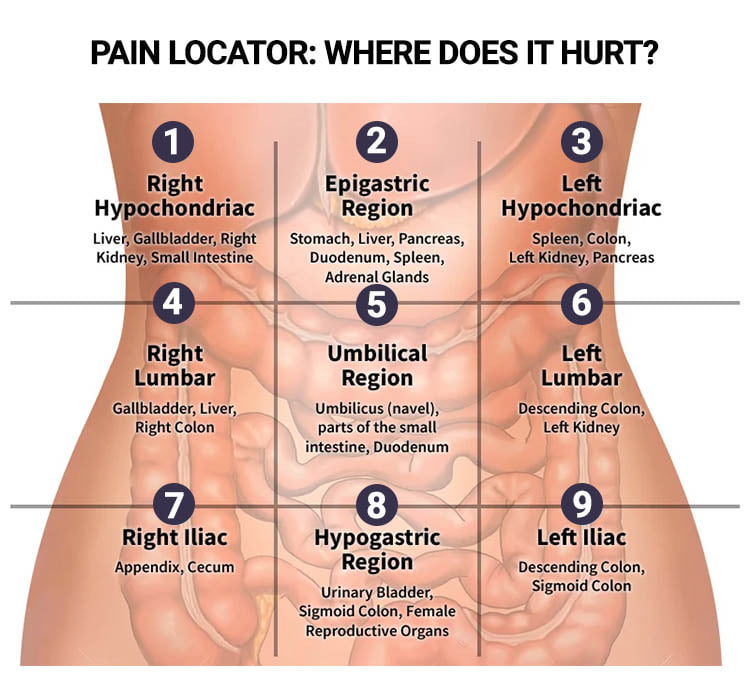 Pain Locator Where Does It Hurt 